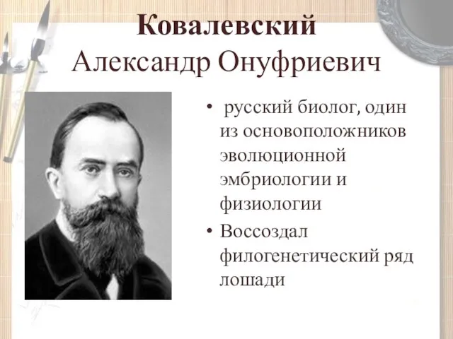 Ковалевский Александр Онуфриевич русский биолог, один из основоположников эволюционной эмбриологии и физиологии Воссоздал филогенетический ряд лошади