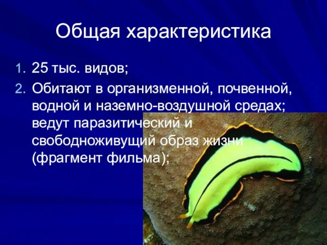 Общая характеристика 25 тыс. видов; Обитают в организменной, почвенной, водной и наземно-воздушной