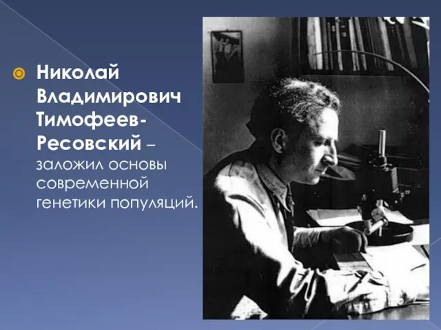 Николай Владимирович Тимофеев-Ресовский – заложил основы современной генетики популяций.