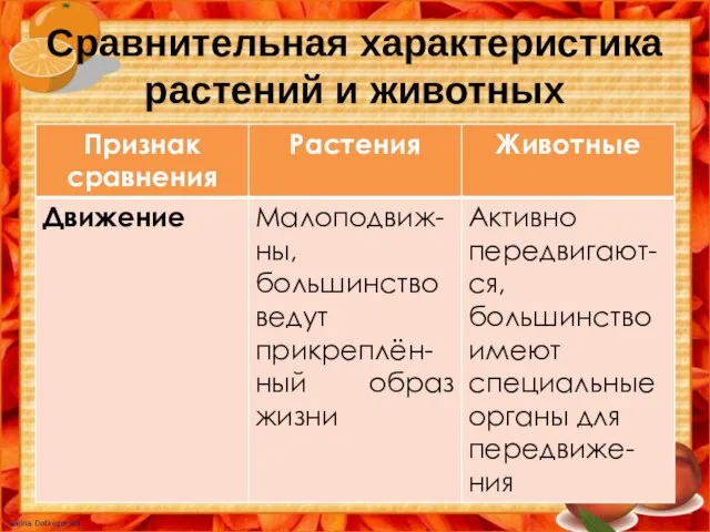 Сравнительная характеристика растений и животных