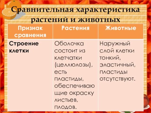 Сравнительная характеристика растений и животных