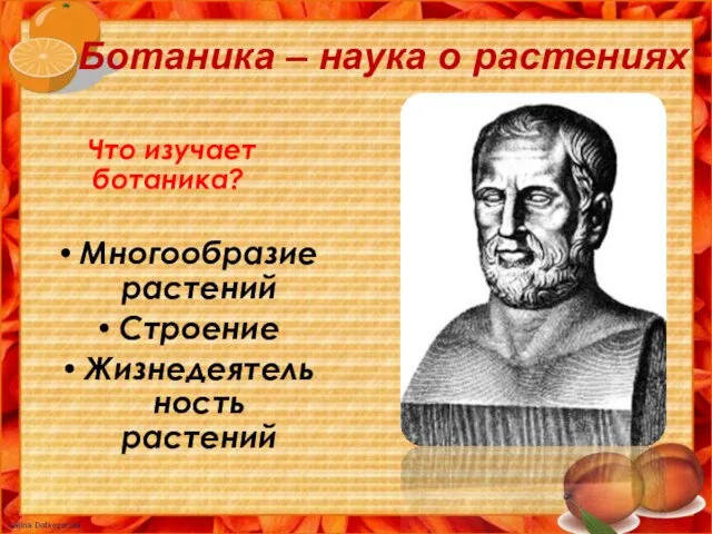 Ботаника – наука о растениях Что изучает ботаника? Многообразие растений Строение Жизнедеятельность растений