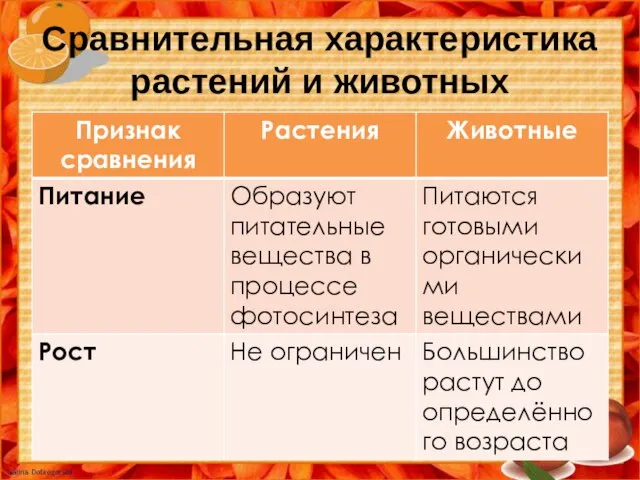 Сравнительная характеристика растений и животных