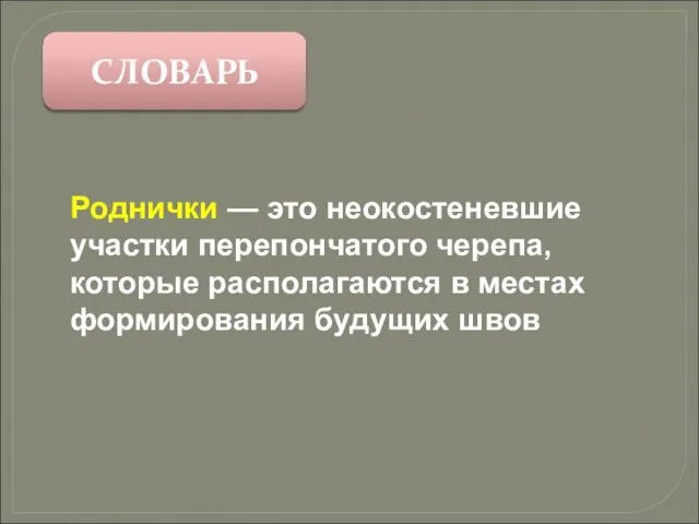 СЛОВАРЬ Роднички — это неокостеневшие участки перепончатого черепа, которые располагаются в местах формирования будущих швов