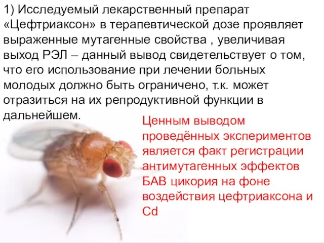 Домащенко А.Н. 1) Исследуемый лекарственный препарат «Цефтриаксон» в терапевтической дозе проявляет выраженные