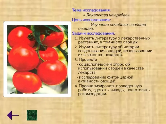 Тема исследования: « Лекарства на грядке». Цель исследования: Изучение лечебных свойств овощей.