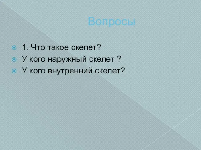 Вопросы 1. Что такое скелет? У кого наружный скелет ? У кого внутренний скелет?