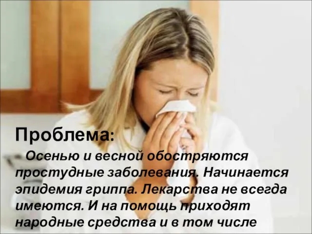 Проблема: Осенью и весной обостряются простудные заболевания. Начинается эпидемия гриппа. Лекарства не