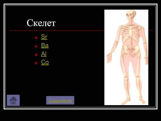 Скелет Sr Ba Al Co Содержание