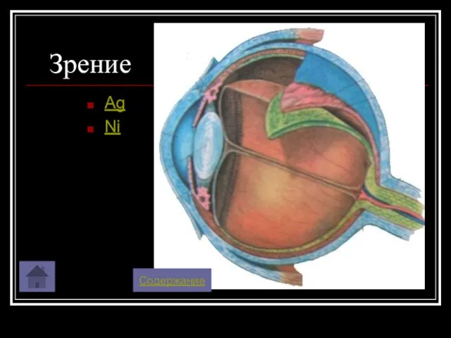 Зрение Ag Ni Содержание