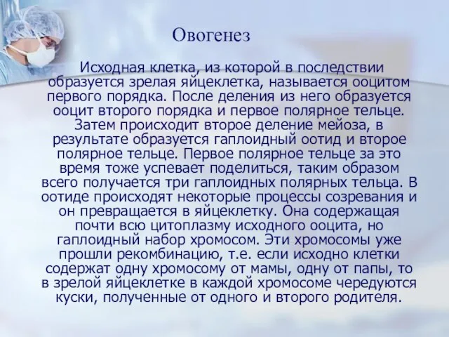 Исходная клетка, из которой в последствии образуется зрелая яйцеклетка, называется ооцитом первого