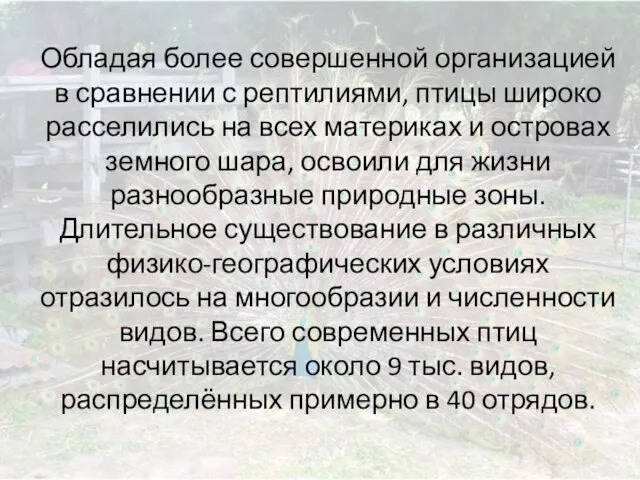 Обладая более совершенной организацией в сравнении с рептилиями, птицы широко расселились на