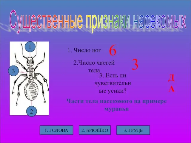 1 1 3 2 Существенные признаки насекомых 1. Число ног 2.Число частей