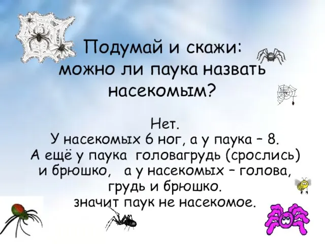 Подумай и скажи: можно ли паука назвать насекомым? Нет. У насекомых 6