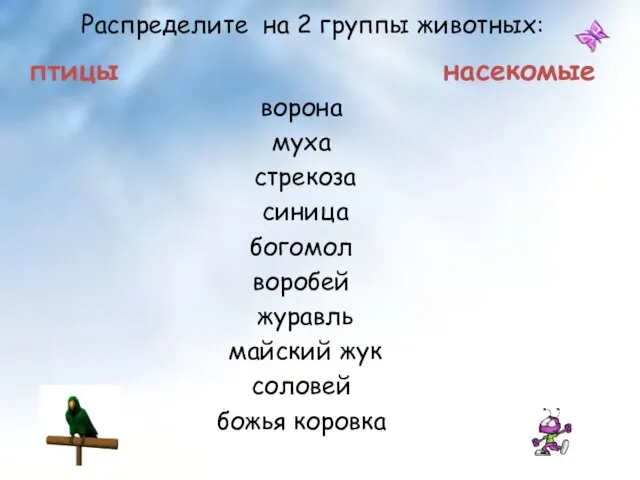 Распределите на 2 группы животных: птицы насекомые ворона муха стрекоза синица богомол