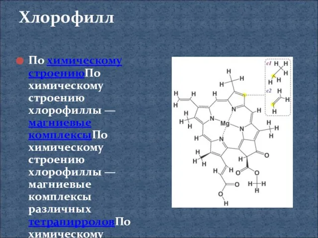 Хлорофилл По химическому строениюПо химическому строению хлорофиллы — магниевые комплексыПо химическому строению