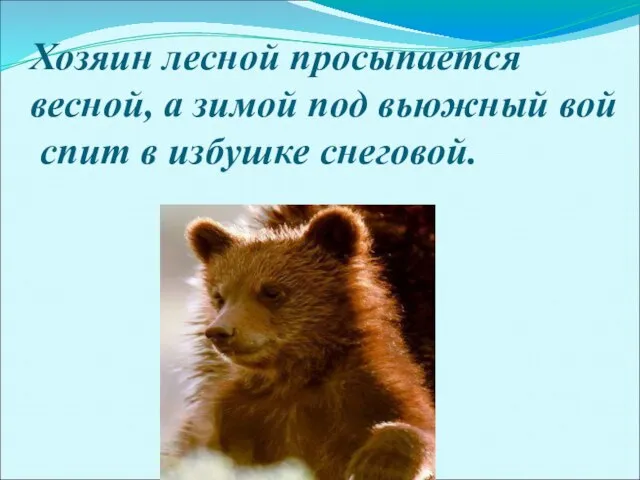 Хозяин лесной просыпается весной, а зимой под вьюжный вой спит в избушке снеговой.