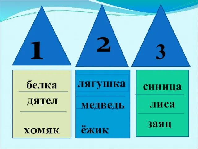 3 б медведь лиса дятел 1 2 белка хомяк лягушка ёжик синица заяц