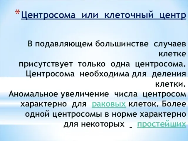 Центросома или клеточный центр В подавляющем большинстве случаев клетке присутствует только одна