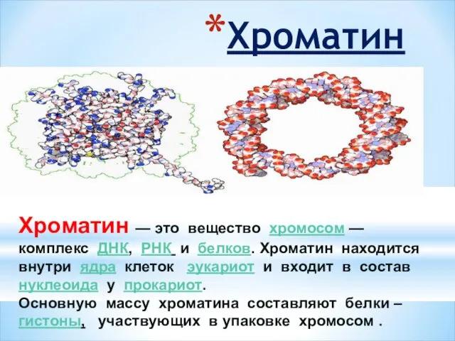 Хроматин Хроматин — это вещество хромосом — комплекс ДНК, РНК и белков.