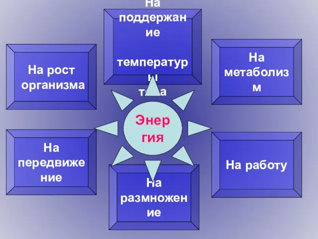 На рост организма На поддержание температуры тела На метаболизм На работу На размножение На передвижение Энергия