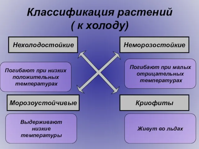 Классификация растений ( к холоду) Нехолодостойкие Неморозостойкие Морозоустойчивые Криофиты Погибают при низких