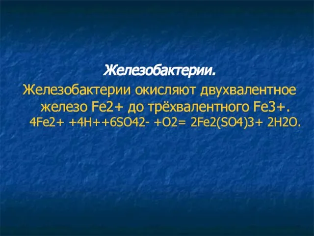 Железобактерии. Железобактерии окисляют двухвалентное железо Fe2+ до трёхвалентного Fe3+. 4Fe2+ +4H++6SO42- +O2= 2Fe2(SO4)3+ 2H2O.