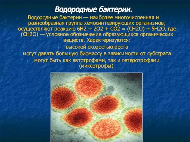 Водородные бактерии. Водородные бактерии — наиболее многочисленная и разнообразная группа хемосинтезирующих организмов;