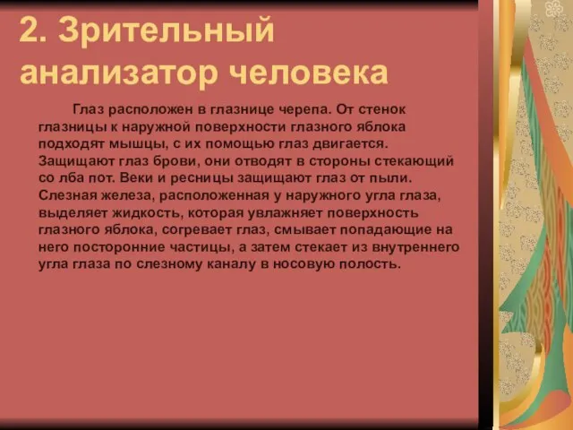 2. Зрительный анализатор человека Глаз расположен в глазнице черепа. От стенок глазницы