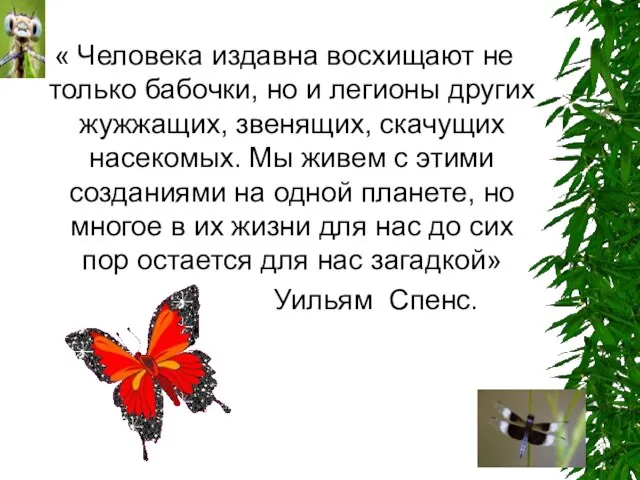 « Человека издавна восхищают не только бабочки, но и легионы других жужжащих,