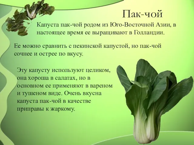 Пак-чой Капуста пак-чой родом из Юго-Восточной Азии, в настоящее время ее выращивают