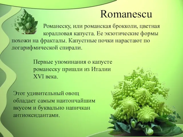 Romanescu Романеску, или романская брокколи, цветная коралловая капуста. Ее экзотические формы похожи