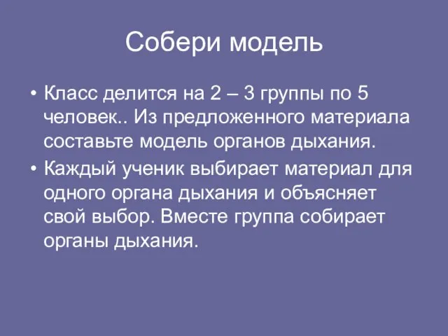 Собери модель Класс делится на 2 – 3 группы по 5 человек..