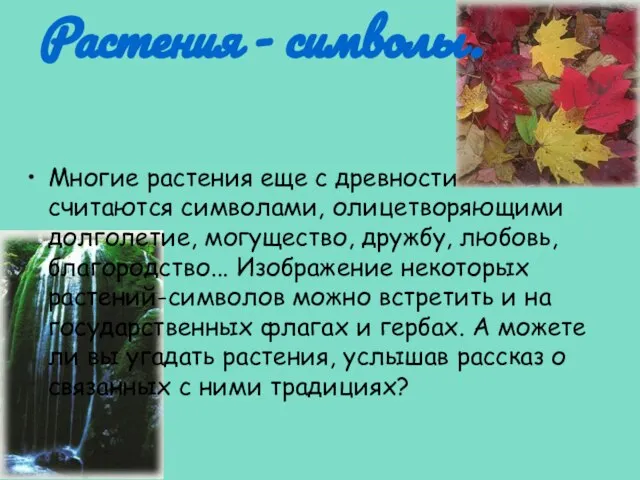 Растения - символы. Многие растения еще с древности считаются символами, олицетворяющими долголетие,