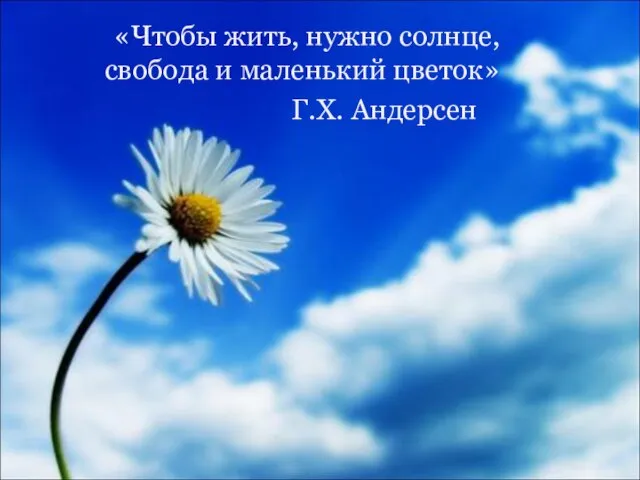 «Чтобы жить, нужно солнце, свобода и маленький цветок» Г.Х. Андерсен