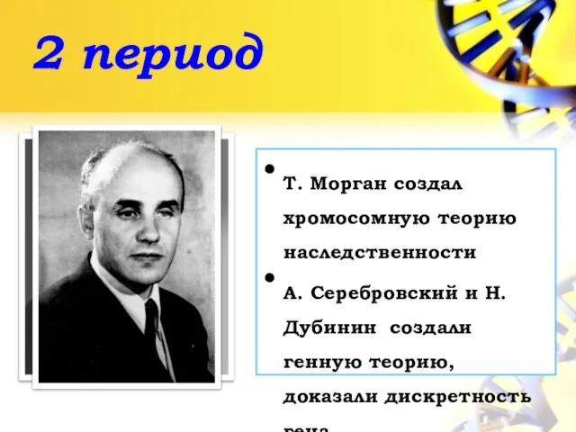 2 период Т. Морган создал хромосомную теорию наследственности А. Серебровский и Н.