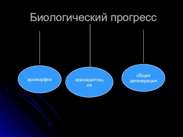 Биологический прогресс ароморфоз идиоадаптация общая дегенерация