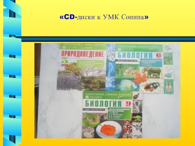 «CD-диски к УМК Сонина»