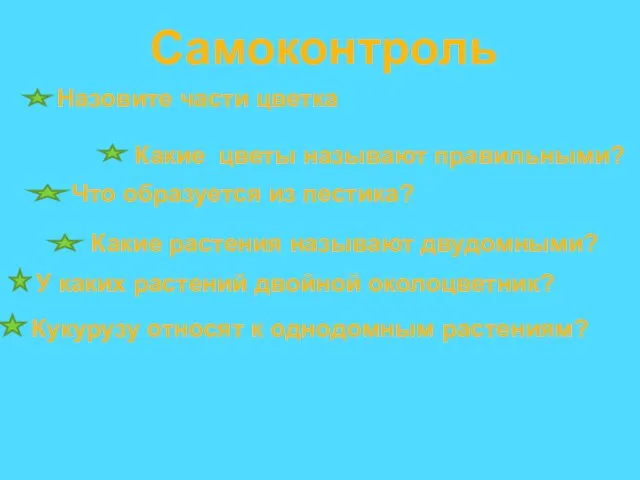 Самоконтроль Назовите части цветка Какие цветы называют правильными? Что образуется из пестика?