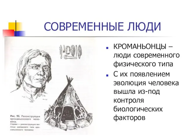 СОВРЕМЕННЫЕ ЛЮДИ КРОМАНЬОНЦЫ – люди современного физического типа С их появлением эволюция