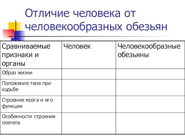 Отличие человека от человекообразных обезьян