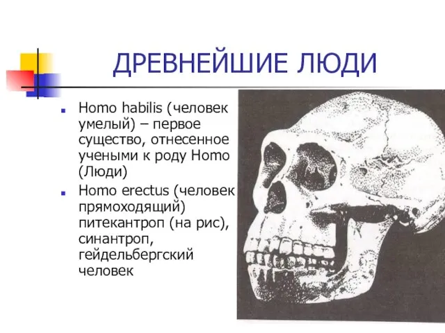 ДРЕВНЕЙШИЕ ЛЮДИ Homo habilis (человек умелый) – первое существо, отнесенное учеными к