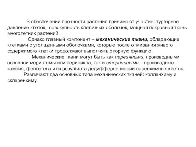 В обеспечении прочности растения принимают участие: тургорное давление клеток, совокупность клеточных оболочек,