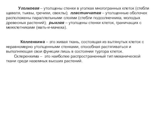 Уголковая – утолщены стенки в уголках многогранных клеток (стебли щавеля, тыквы, гречихи,