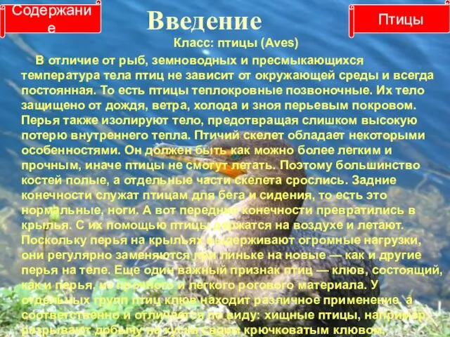 Введение Класс: птицы (Aves) В отличие от рыб, земноводных и пресмыкающихся температура