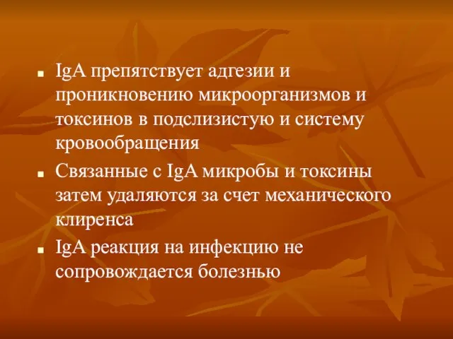 IgA препятствует адгезии и проникновению микроорганизмов и токсинов в подслизистую и систему