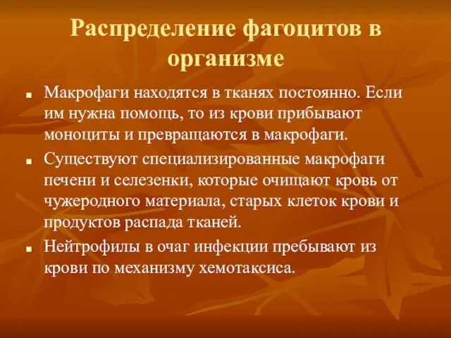 Распределение фагоцитов в организме Макрофаги находятся в тканях постоянно. Если им нужна