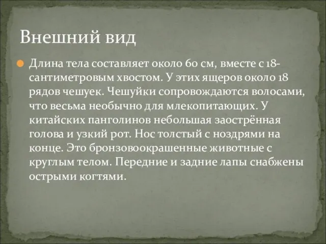 Длина тела составляет около 60 см, вместе с 18-сантиметровым хвостом. У этих