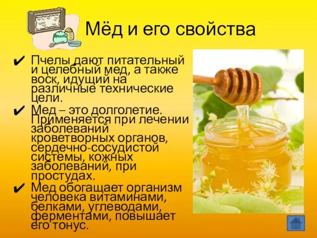 Мёд и его свойства Пчелы дают питательный и целебный мед, а также