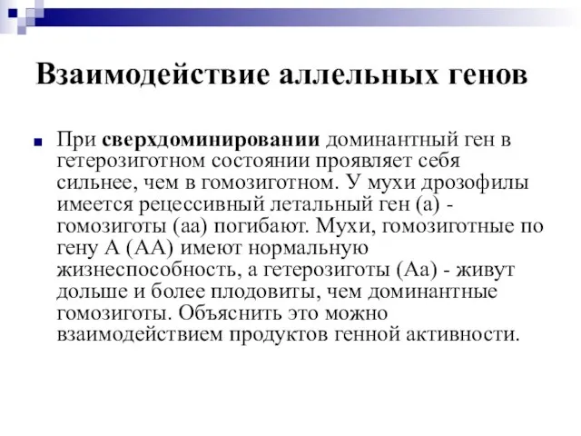 Взаимодействие аллельных генов При сверхдоминировании доминантный ген в гетерозиготном состоянии проявляет себя